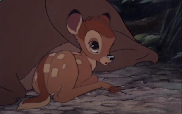 A screenshot from the 1942 animated film 'Bambi.' (Screenshot/Youtube; used in accordance with Clause 27a of the Copyright Law) ) A screenshot from the 1942 animated film 'Bambi.' (Screenshot/Youtube; used in accordance with Clause 27a of the Copyright Law) )