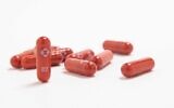 Merck antiviral medication molnupiravir. (Merck & Co. via AP, File)