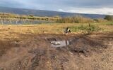The carcass of a crane, infected by avian flu, at the Hula Valley Nature Reserve in northern Israel, on December 23, 2021. (Shlomit Shavit, Israel Nature and Parks Authority)
