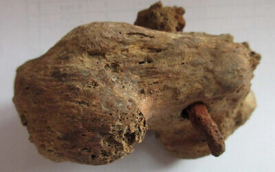 A heel bone and nail were discovered in Fenstanton, England in 2017. (Courtesy: Albion Archaeology)