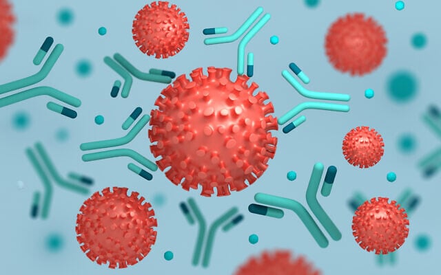 Illustrative image: antibodies attack SARS-CoV-2 (iStock via Getty Images)