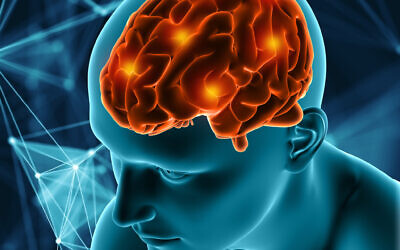 A 3D render of a brain (Kirsty Pargeter. via iStock by Getty Images)