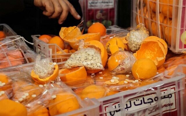Fake oranges filled with illegal Captagon pills at the Beirut port in Lebanon, on December 29, 2021. (Anwar Amro/AFP) Fake oranges filled with illegal Captagon pills at the Beirut port in Lebanon, on December 29, 2021. (Anwar Amro/AFP)