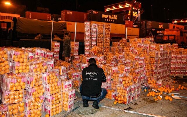 Fake oranges filled with illegal Captagon pills at the Beirut port in Lebanon, on December 29, 2021. (Anwar Amro/AFP) Fake oranges filled with illegal Captagon pills at the Beirut port in Lebanon, on December 29, 2021. (Anwar Amro/AFP)
