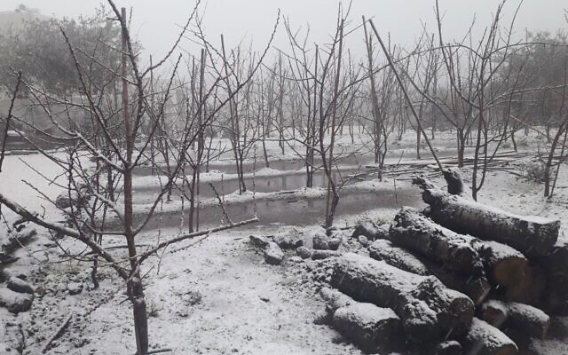Snow falls near the town of Ein Zivan in the Golan Heights, January 26, 2022. (Courtesy) Snow falls near the town of Ein Zivan in the Golan Heights, January 26, 2022. (Courtesy)
