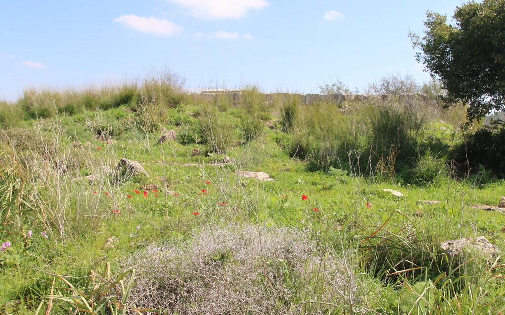 A view of the fortress ruins atop the hill in Holland Forest. (Shmuel Bar-Am)