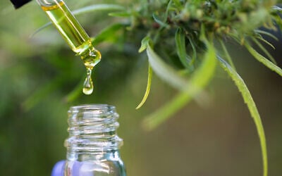Illustrative: CBD hemp oil next to cannabis leaves. (Tinnakorn Jorruang/iStock by Getty Images)