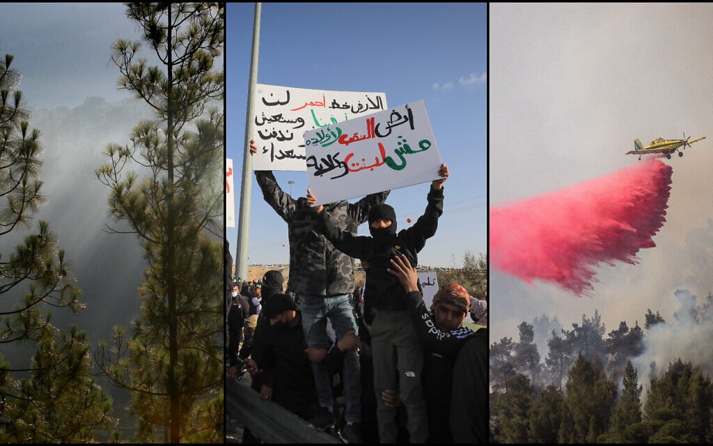 (L-R) Pine trees in a forest near Jerusalem; Bedouins protest against tree planting by the Jewish National Fund, outside the village of al-Atrash in the Negev desert, on January 13, 2022; Firefighting planes extinguish a forest fire near Jerusalem, on June 9, 2021. (Nati Shohat; Jamal Awad; Yonatan Sindel/Flash90) (L-R) Pine trees in a forest near Jerusalem; Bedouins protest against tree planting by the Jewish National Fund, outside the village of al-Atrash in the Negev desert, on January 13, 2022; Firefighting planes extinguish a forest fire near Jerusalem, on June 9, 2021. (Nati Shohat; Jamal Awad; Yonatan Sindel/Flash90)