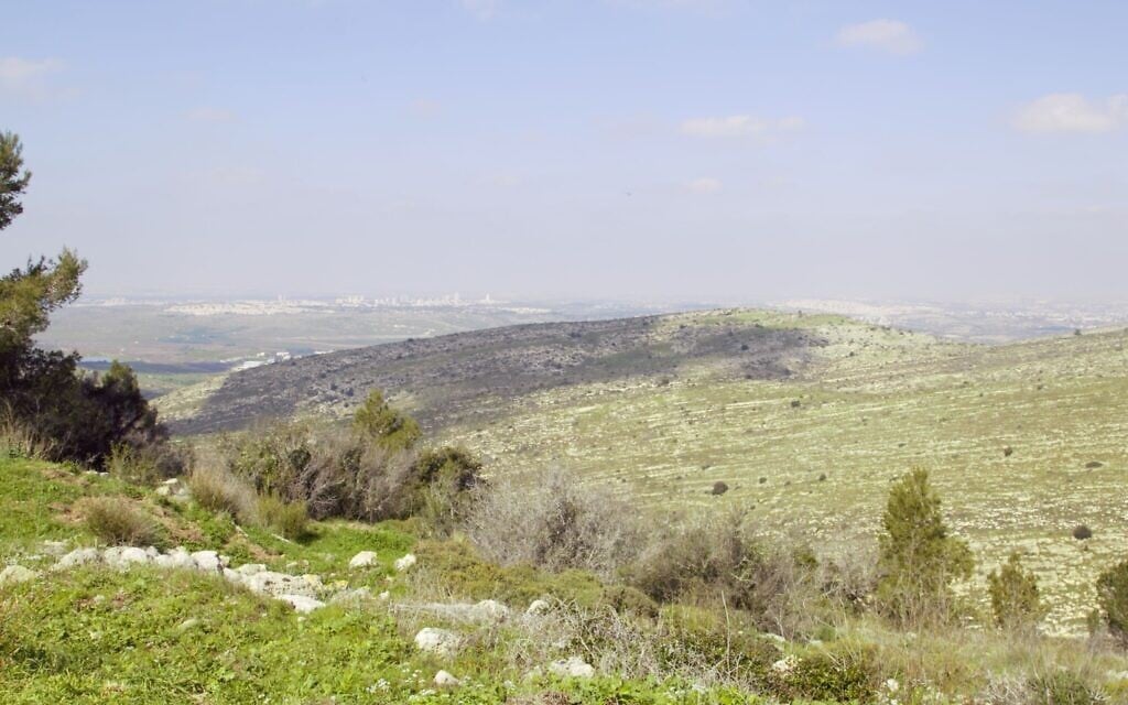 A view from the ruins of an ancient Hasmonean fortress in the Neve Ilan Forest. (Shmuel Bar-Am)