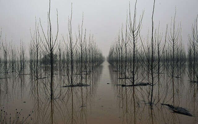 Fog covers the landscape in a flooded area near the Ebro River in the small village of Alcala de Ebro, Aragon province, northern Spain, Dec. 13, 2021. (Alvaro Barrientos/AP)