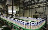 Tnuva’s dairy production line. (Tnuva)