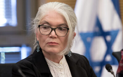 Executive director of Amnesty Israel Molly Malekar. (Gil Naveh)