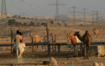 Illustrative: Bedouin boys ride on a donkey near Mitzpe Ramon in southern Israel, August 2009. (Kobi Gideon/Flash90) Illustrative: Bedouin boys ride on a donkey near Mitzpe Ramon in southern Israel, August 2009. (Kobi Gideon/Flash90)