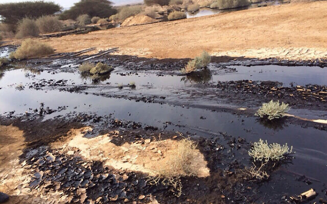 Illustrative: The oil leak in the Arava area of southern Israel in 2014 after a crack in the Eilat-Ashkelon pipeline. (Nature and Parks Authority) Illustrative: The oil leak in the Arava area of southern Israel in 2014 after a crack in the Eilat-Ashkelon pipeline. (Nature and Parks Authority)