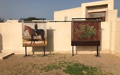 Artworks from Rakfaf, the UAE arts festival that opened February 4, 2022, featuring Israeli artworks for the first time. (Courtesy: Sharon Toval)