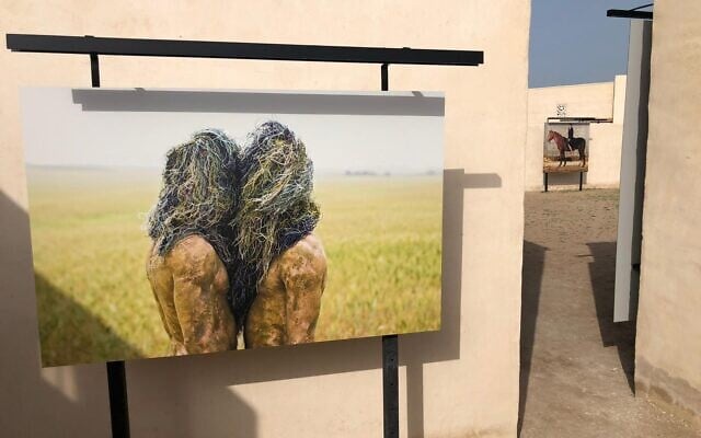 Artworks from Rakfaf, the UAE arts festival that opened February 4, 2022, featuring Israeli artworks for the first time (Courtesy Sharon Toval)