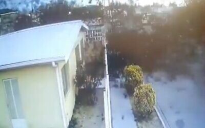A huge flock of birds can be seen suddenly dying and falling from the sky in northern Mexico, Feb. 7, 2022. (screenshot)