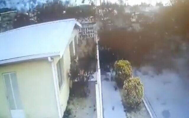 A huge flock of birds can be seen suddenly dying and falling from the sky in northern Mexico, Feb. 7, 2022. (screenshot) A huge flock of birds can be seen suddenly dying and falling from the sky in northern Mexico, Feb. 7, 2022. (screenshot)