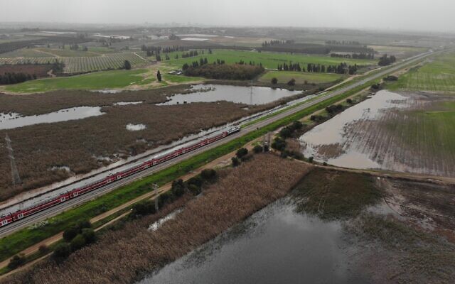 Aerial view of the Poleg swamp. (Ami Lazar, Israel Nature and Parks Authority)