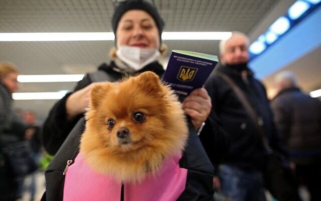 Ukrainian Jewish refugees, who fled the war in their country, wait at the check-in counters ahead of their flight to Tel Aviv in the Moldovan capital Chisinau on March 14, 2022. (GIL COHEN-MAGEN / AFP)