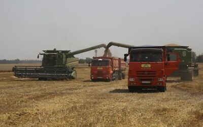 Farmers harvest with their combines in a wheat field near the village Tbilisskaya, Russia, July 21, 2021. (AP Photo/Vitaly Timkiv, File)