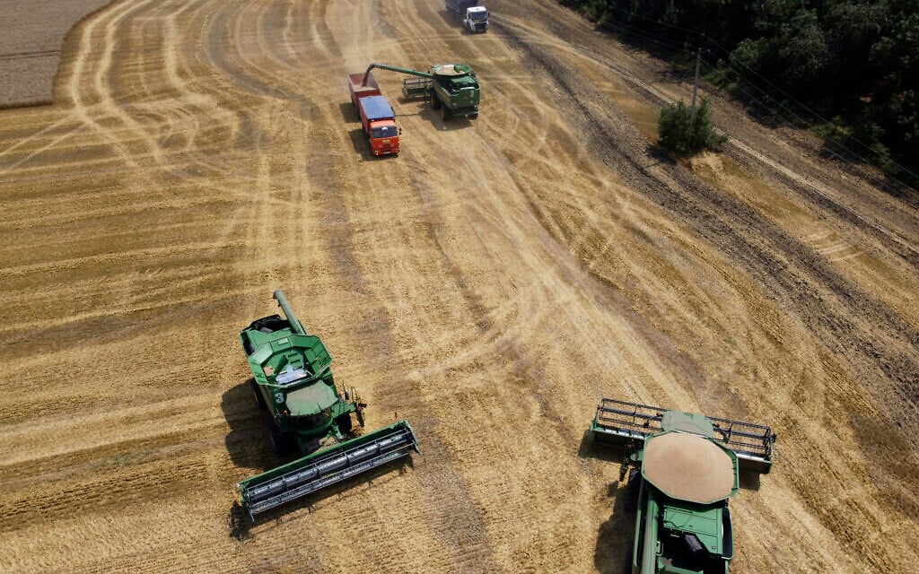 Farmers harvest with their combines in a wheat field near the village Tbilisskaya, Russia, July 21, 2021. (AP Photo/Vitaly Timkiv, File)