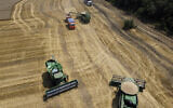 Farmers harvest with their combines in a wheat field near the village Tbilisskaya, Russia, July 21, 2021. (AP Photo/Vitaly Timkiv, File)