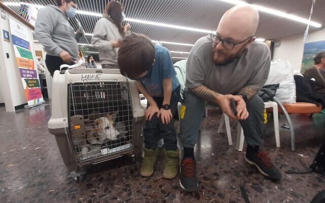 Canine members of the family at Ben Gurion Airport, March 22, 2022. (Liron Cohen Faur, Immigrant Absorption Ministry)