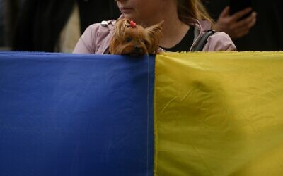 A dog peers over a large Ukrainian flag during a protest against Russia's war in Ukraine, in front of the Russian embassy in Bucharest, Romania, April 16, 2022. (AP Photo/Andreea Alexandru)
