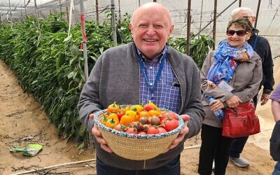 Alan Cohen holds a basket of freshly picked peppers in the Arava.