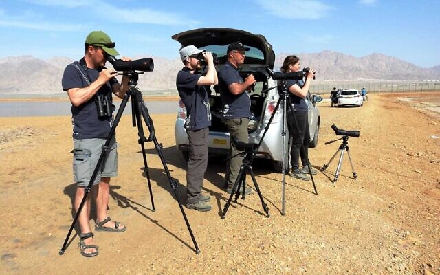 Competitors photograph bird special during the eighth annual birdwatching contest in Eilat, April 4, 2022. (Dov Greenblat/Society for the Protection of Nature in Israel) Competitors photograph bird special during the eighth annual birdwatching contest in Eilat, April 4, 2022. (Dov Greenblat/Society for the Protection of Nature in Israel)