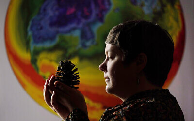 University of Maine climate scientist Jacquelyn Gill examines a cone from a western pine at the Sawyer Environmental Research Center, May 4, 2022, in Orono, Maine. (AP Photo/ Robert F. Bukaty)