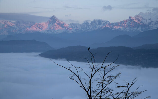 FILE - Birds sit on tree branches in front of a mountain range near Pokhara, Nepal, Jan. 1, 2022 (AP Photo/Niranjan Shrestha, File)