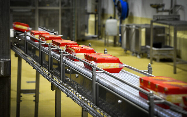 Cheese production at the Tnuva Tel Yosef dairy plant. December 21, 2015. (Yossi Zeliger/FLASH90)