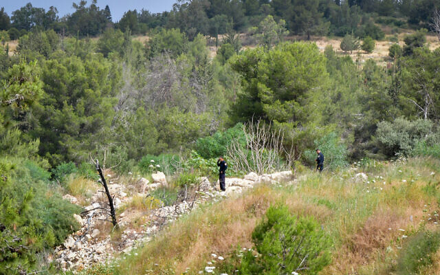 Israeli police officers search a forested area near the scene where three people killed in a terrorist attack in Elad, May 6, 2022. (Avshalom Sassoni/Flash90) Israeli police officers search a forested area near the scene where three people killed in a terrorist attack in Elad, May 6, 2022. (Avshalom Sassoni/Flash90)