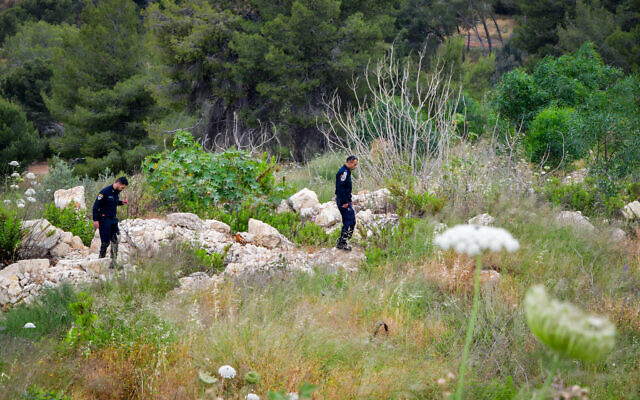Israeli police officers search a forested area near the scene where three people killed in a terrorist attack in Elad, May 6, 2022. (Avshalom Sassoni/Flash90) Israeli police officers search a forested area near the scene where three people killed in a terrorist attack in Elad, May 6, 2022. (Avshalom Sassoni/Flash90)