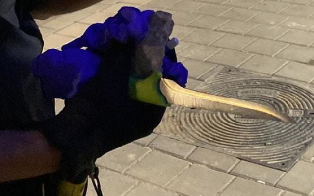 A knife and a rock found on a Palestinian suspect near the Israeli town of Tzur Yitzhak in central Israel, May 13, 2022. (Israel Police) A knife and a rock found on a Palestinian suspect near the Israeli town of Tzur Yitzhak in central Israel, May 13, 2022. (Israel Police)