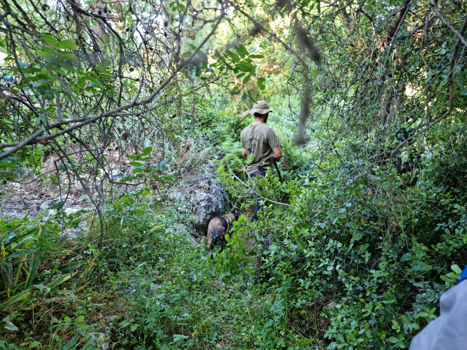 An Israel Dog Unit volunteer searching Mount Meron for missing persons. (Courtesy IDU) An Israel Dog Unit volunteer searching Mount Meron for missing persons. (Courtesy IDU)