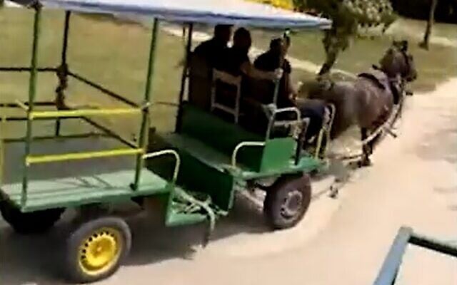 Group rides horse-drawn carriage through Kfar Masryk on April 30, 2022 (Screen grab) Group rides horse-drawn carriage through Kfar Masryk on April 30, 2022 (Screen grab)