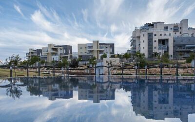 An artificial pond in a public park in Beersheba. (Roman Mykhalchuk via iStock by Getty Images)