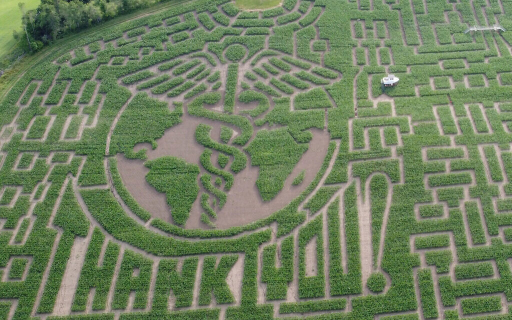 The Great Vermont Corn Maze was designed in 2020 as a tribute to the medical workers working hard to save people's lives during the Covid pandemic. (Courtesy of Mike Boudreau)