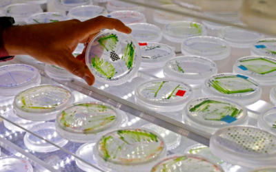The Israel Academy of Sciences and Humanities supports a wide variety of researchers across many fields in Israel. (JACK GUEZ/AFP)