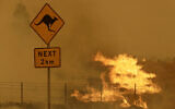 In this Feb. 1, 2020, file photo, fire burns in the grass near Bumbalong, south of the Australian capital, Canberra. (AP Photo/Rick Rycroft, File)