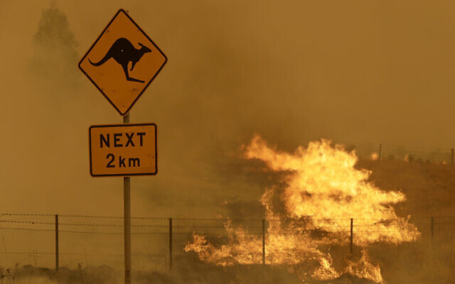 In this Feb. 1, 2020, file photo, fire burns in the grass near Bumbalong, south of the Australian capital, Canberra. (AP Photo/Rick Rycroft, File) In this Feb. 1, 2020, file photo, fire burns in the grass near Bumbalong, south of the Australian capital, Canberra. (AP Photo/Rick Rycroft, File)