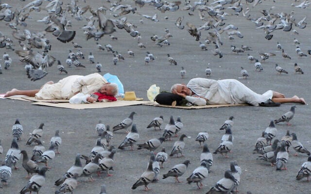 Pigeons surround pilgrims outside the Grand Mosque in the Saudi Arabia's holy city of Mecca, July 5, 2022. (Amr Nabil/AP) Pigeons surround pilgrims outside the Grand Mosque in the Saudi Arabia's holy city of Mecca, July 5, 2022. (Amr Nabil/AP)