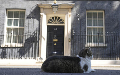 Larry the Cat, Britain's Chief Mouser to the Cabinet Office, in front of 10 Downing Street in London, Friday, July 8, 2022. (AP Photo/Frank Augstein)