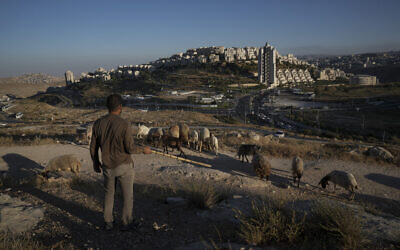 Illustrative: A Palestinian shepherd herds his flock backdropped by the Jerusalem neighborhood of Har Homa, July 6, 2022. (AP Photo/Mahmoud Illean)