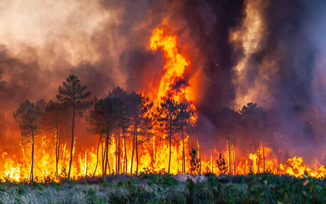 This photo provided by the fire brigade of the Gironde region (SDIS 33) shows a wildfire near Landiras, southwestern France, July 17, 2022. (SDIS 33 via AP) This photo provided by the fire brigade of the Gironde region (SDIS 33) shows a wildfire near Landiras, southwestern France, July 17, 2022. (SDIS 33 via AP)