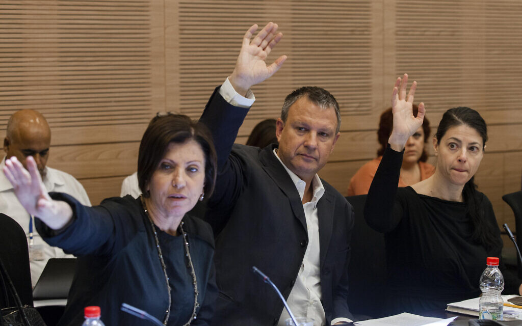Meretz chair Zehava Galon and Labor MKs Erel Margalit and Merav Michaeli vote in the Knesset's Finance Committee on June 18, 2013. (Flash90) Meretz chair Zehava Galon and Labor MKs Erel Margalit and Merav Michaeli vote in the Knesset's Finance Committee on June 18, 2013. (Flash90)