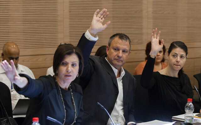 Meretz chair Zehava Galon and Labor MKs Erel Margalit and Merav Michaeli vote in the Knesset's Finance Committee on June 18, 2013. (Flash90)